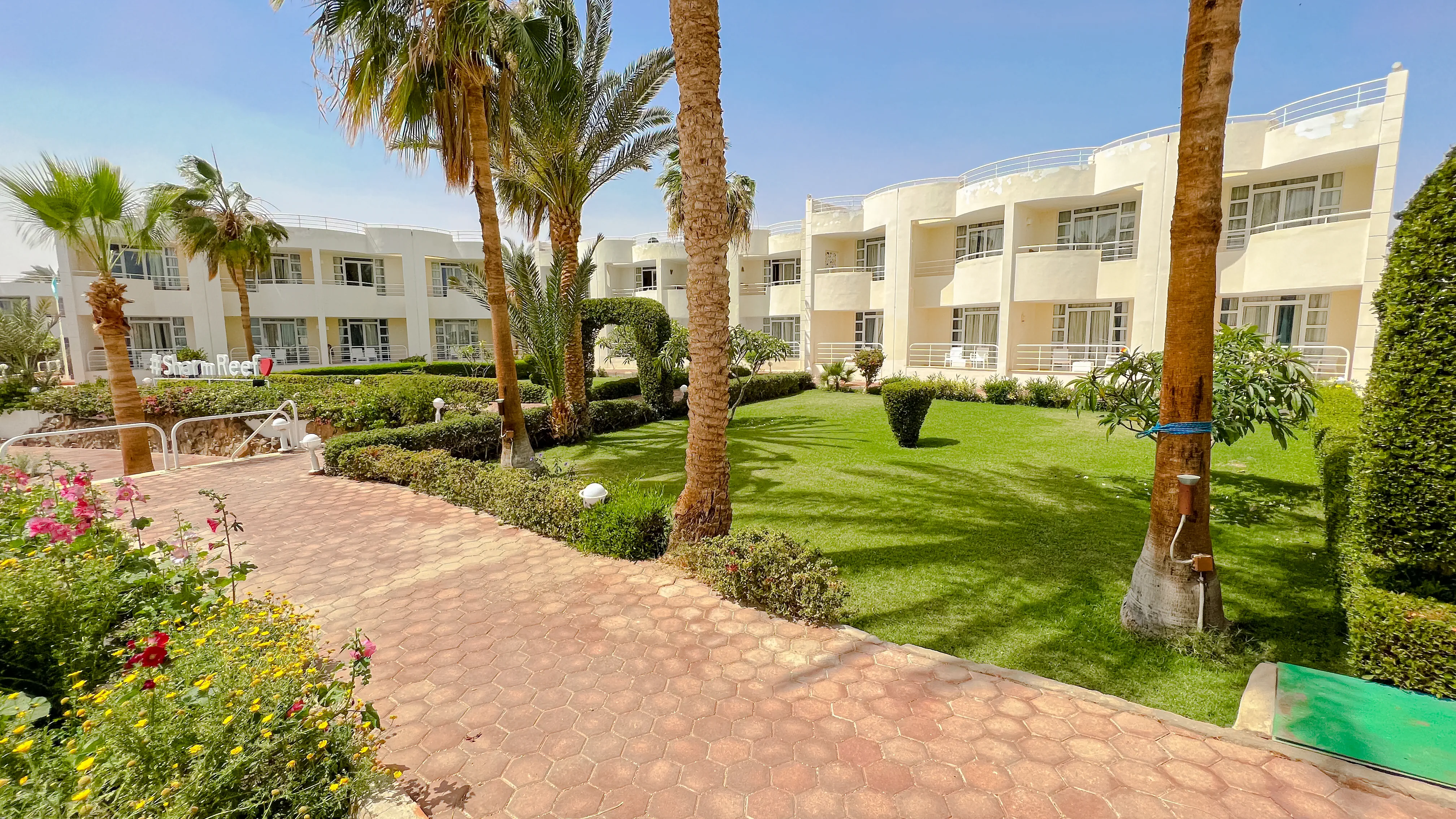 Sharm Reef Resort 3*, фото 14