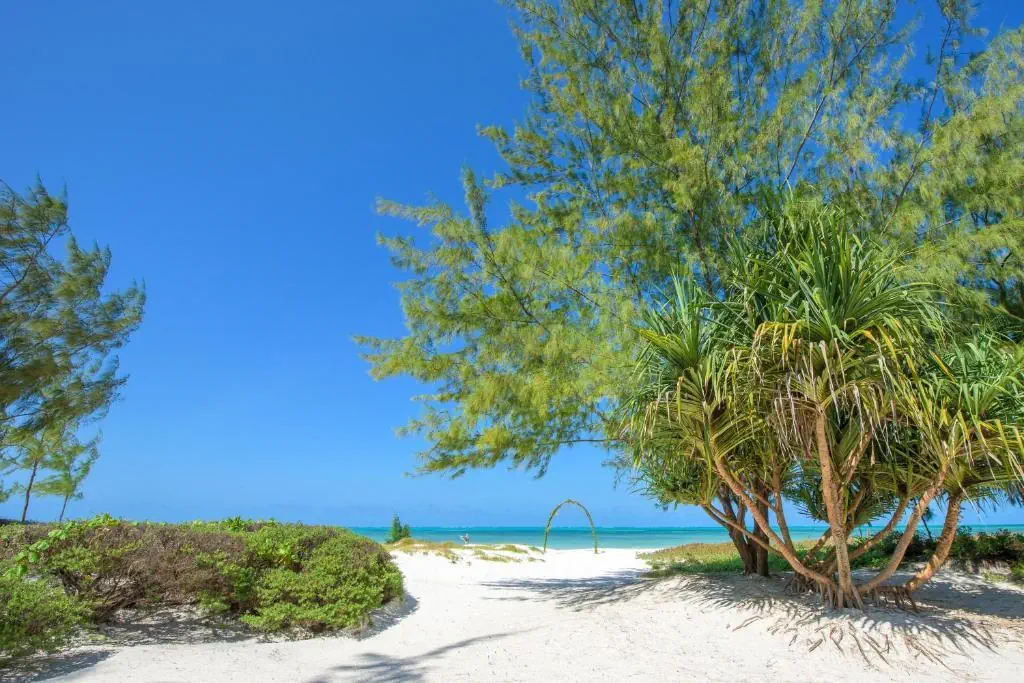 Hakuna Majiwe Beach Lodge 3*, фото 11