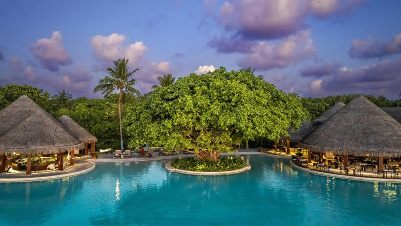 Dusit Thani Maldives 5*, фото 9