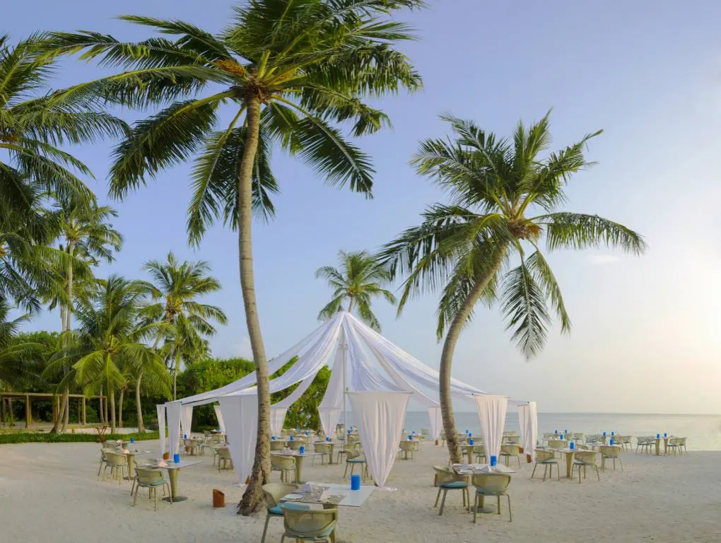 Dusit Thani Maldives 5*, фото 6