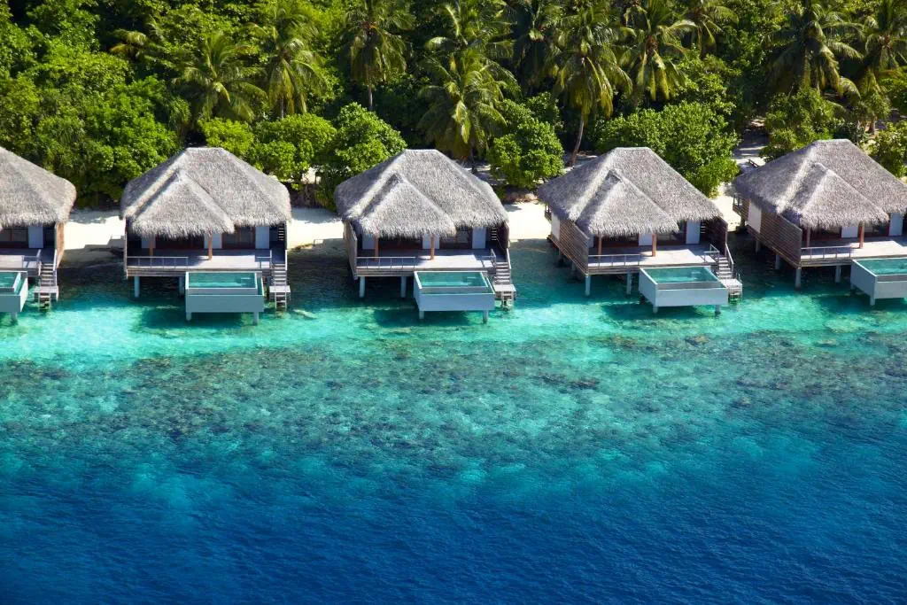 Dusit Thani Maldives 5*, фото 11