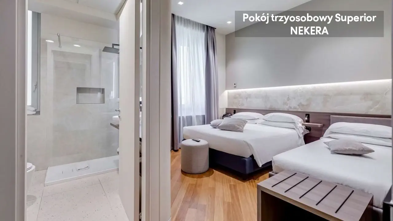 Best Western Plus Plaza 4*, фото 9