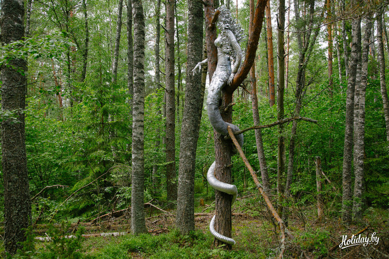 Лепельский цмок и прогулка на Sup-бордах из Минска photo 0