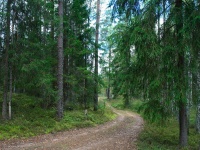 Лепельский цмок и прогулка на Sup-бордах из Минска photo 2