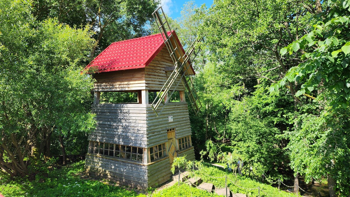 Нарочанский круиз: яхты, скалодром, мельница photo 3