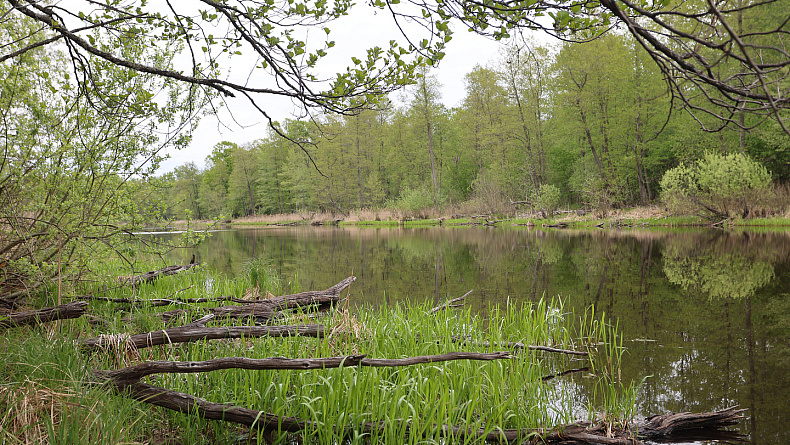 Полесское приключение: водный поход по заповедным территориям! photo 3