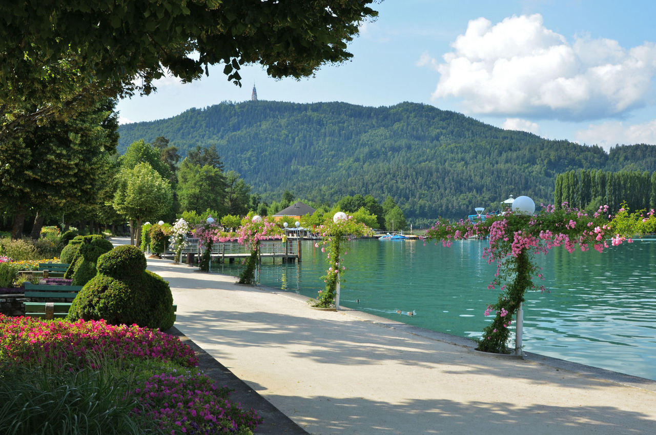 Итальянские каникулы: море, отдых, эмоции photo 2