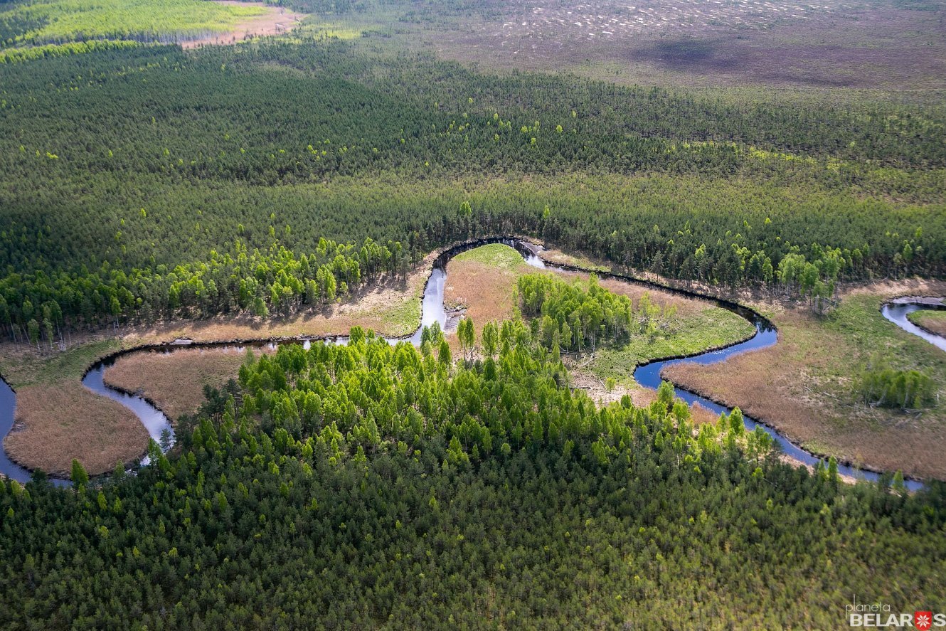 Болото Мох по Касиным тропам