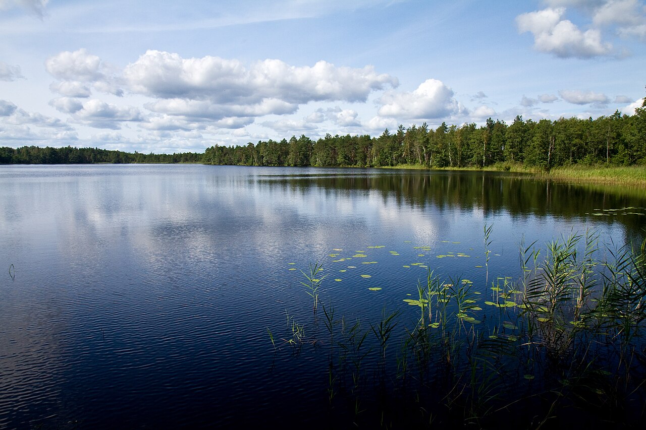 Болото Мох по Касиным тропам photo 0