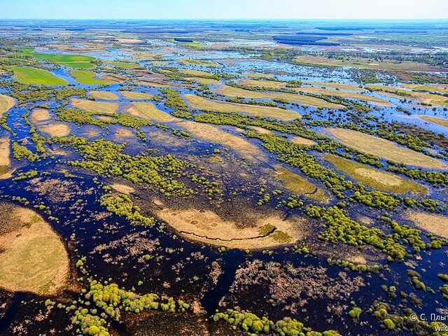 Море Геродота: прогулка на теплоходе + Туров