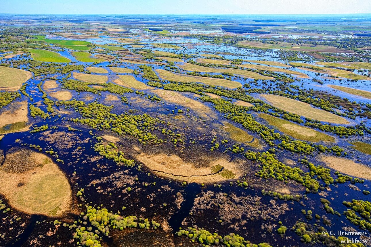 Море Геродота: прогулка на теплоходе + Туров