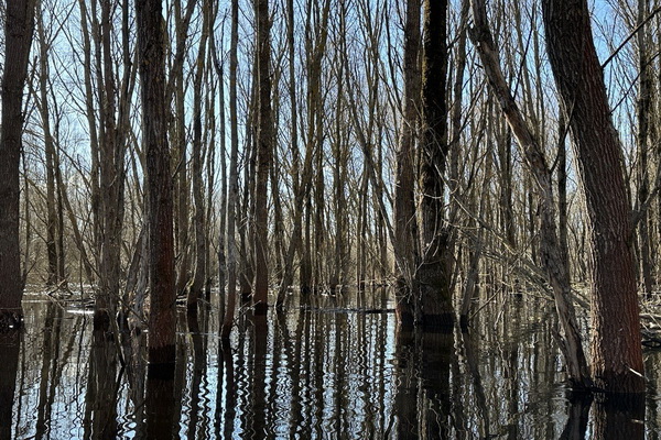Вплавь по легенде: Сплав по разливам Припяти «Море Геродота» photo 2