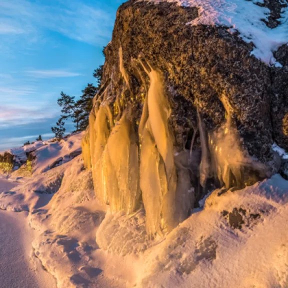 Арктический экспресс photo 0