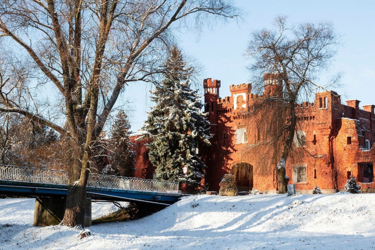 В гостях у сказки: Брест и Беловежская пуща, 2 дня photo 2