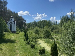 Алмазный венец Новогрудка photo 0