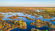 Тур на болото Ельня и водопад на реке Вята photo 3