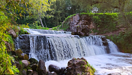 Тур на болото Ельня и водопад на реке Вята photo 0