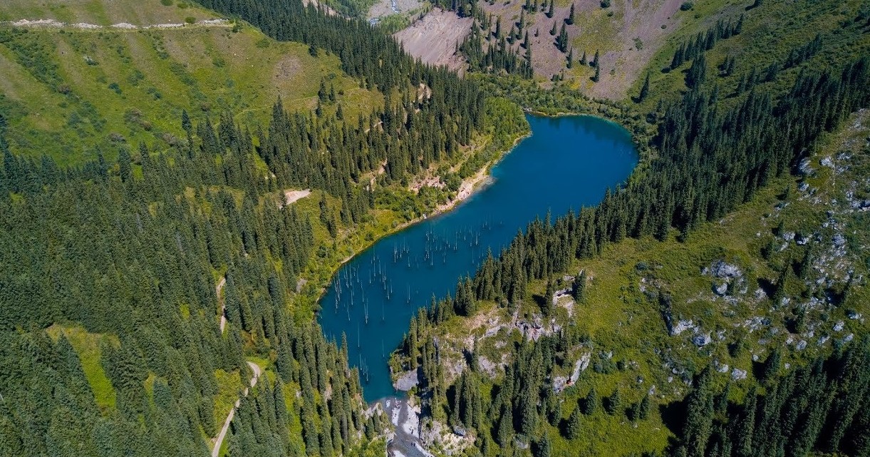 Тропикана-тур в горах: Концерт Валерия Меладзе в Алматы photo 2