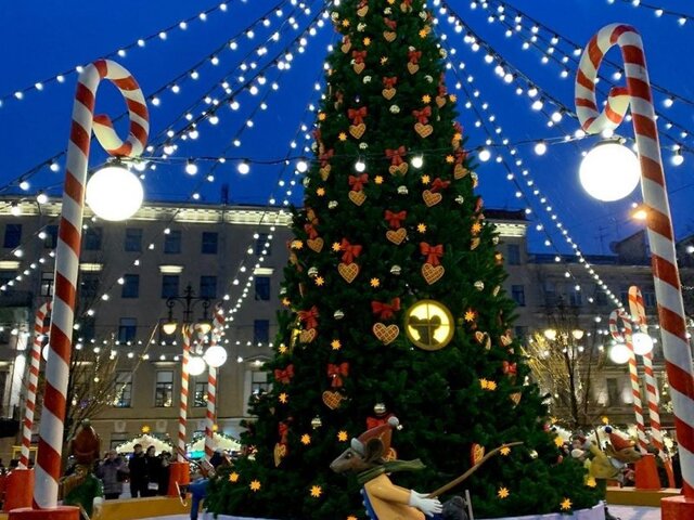 Железнодорожный тур "Новогодняя Петербургская коллекция"