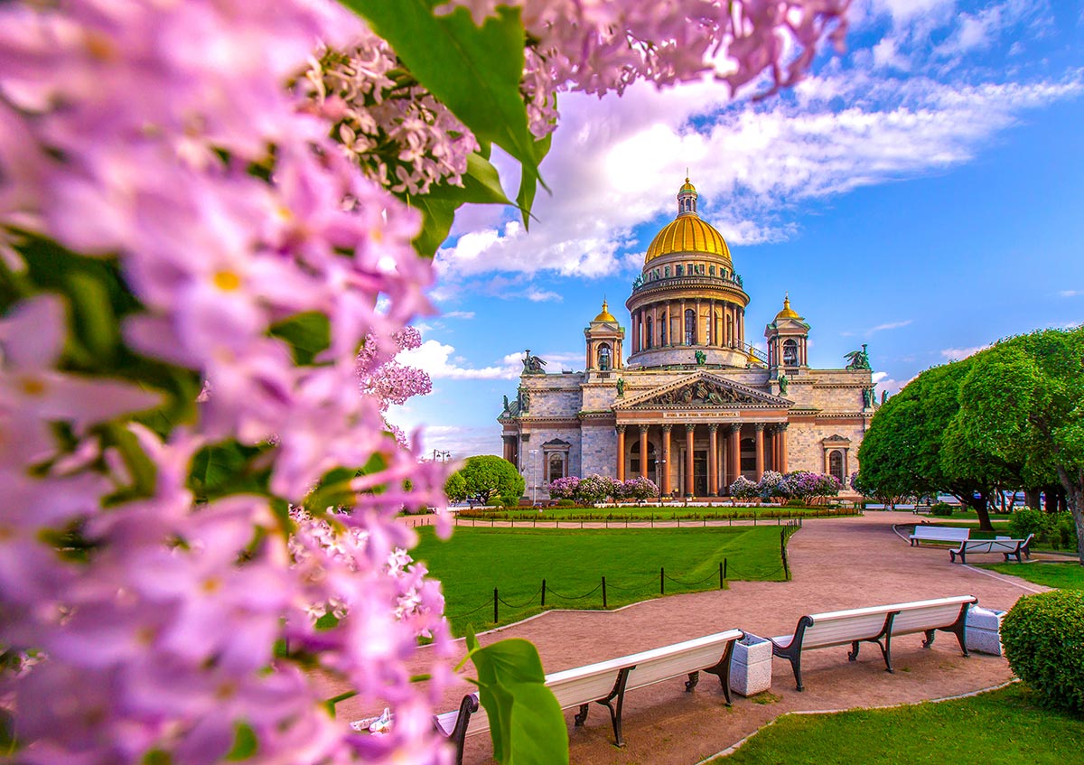 Золотая осень в Питере! Санкт-Петербург на выходные. Приятнее цены не найти! 