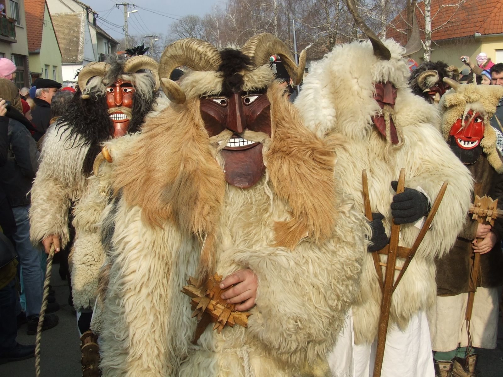 Вихрь дунайских карнавалов photo 2