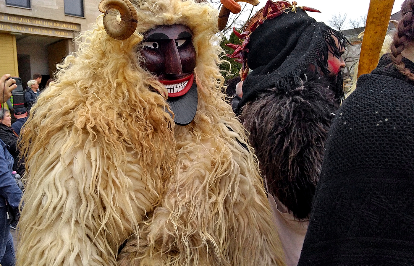 Вихрь дунайских карнавалов photo 3