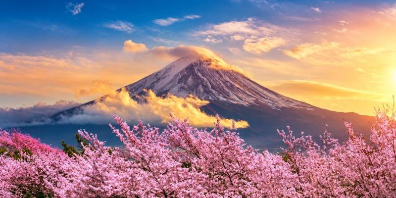 Япония, которая открывается немногим. Неизведанная Япония в сезон цв main photo
