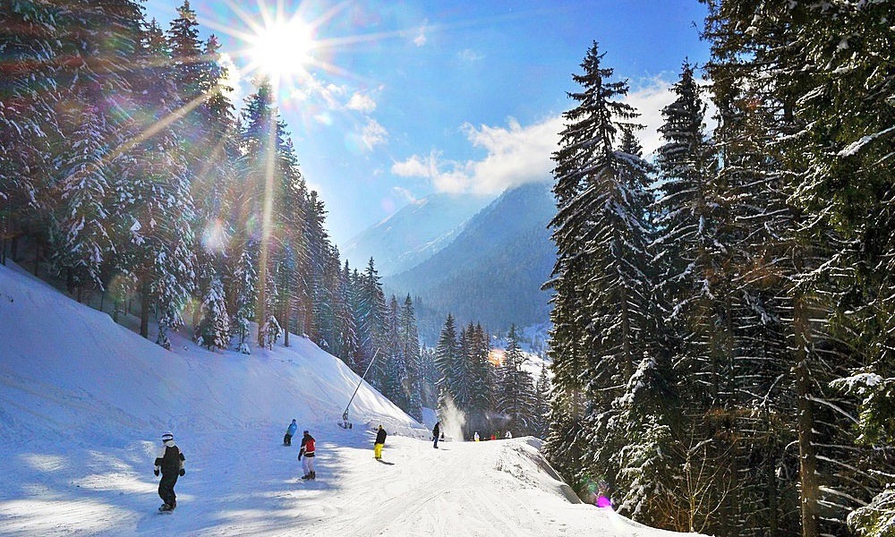 Глоток свежести: Каникулы в горах Болгарии! photo 1