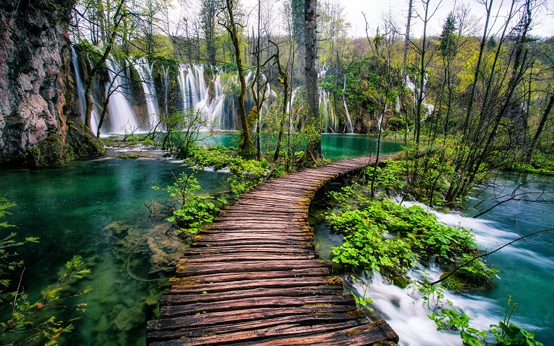 В ритме воды: Балатон, Хевиз, Плитвицкие озера photo 3