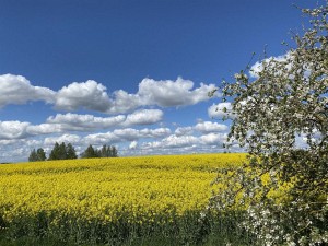 Восточная Беларусь - тайны белорусского Поднепровья photo 1
