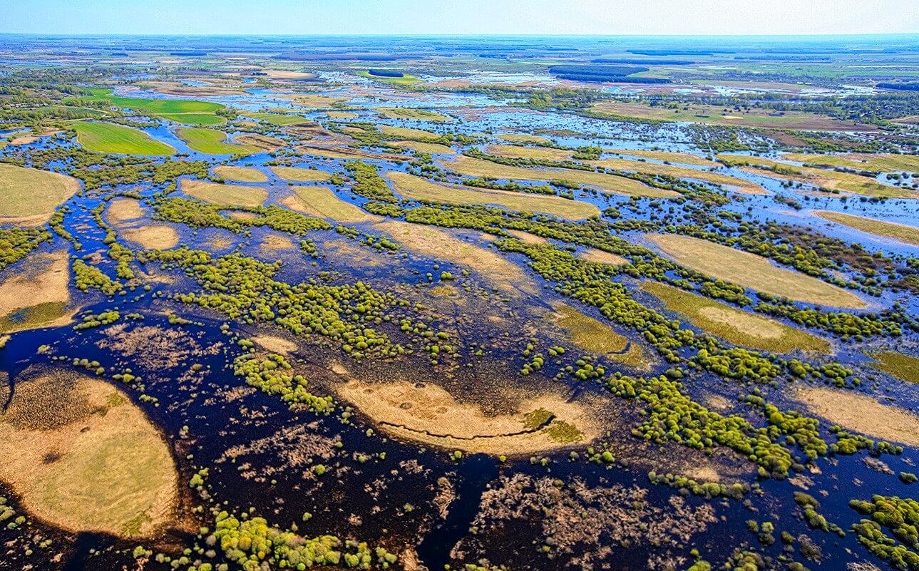 Вплавь по легенде: Сплав по разливам Припяти «Море Геродота 2027» photo 1