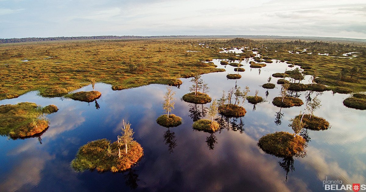 Тур на болото Ельня и водопад на реке Вята photo 3