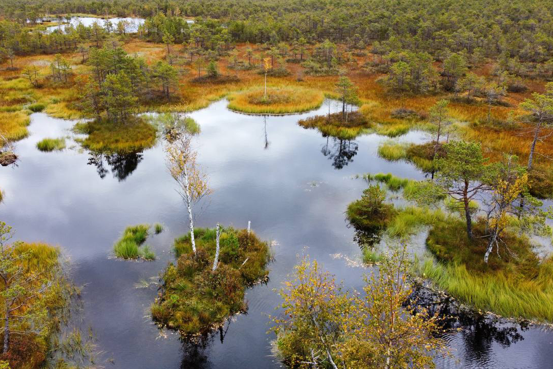 Болото Мох по Касиным тропам main photo