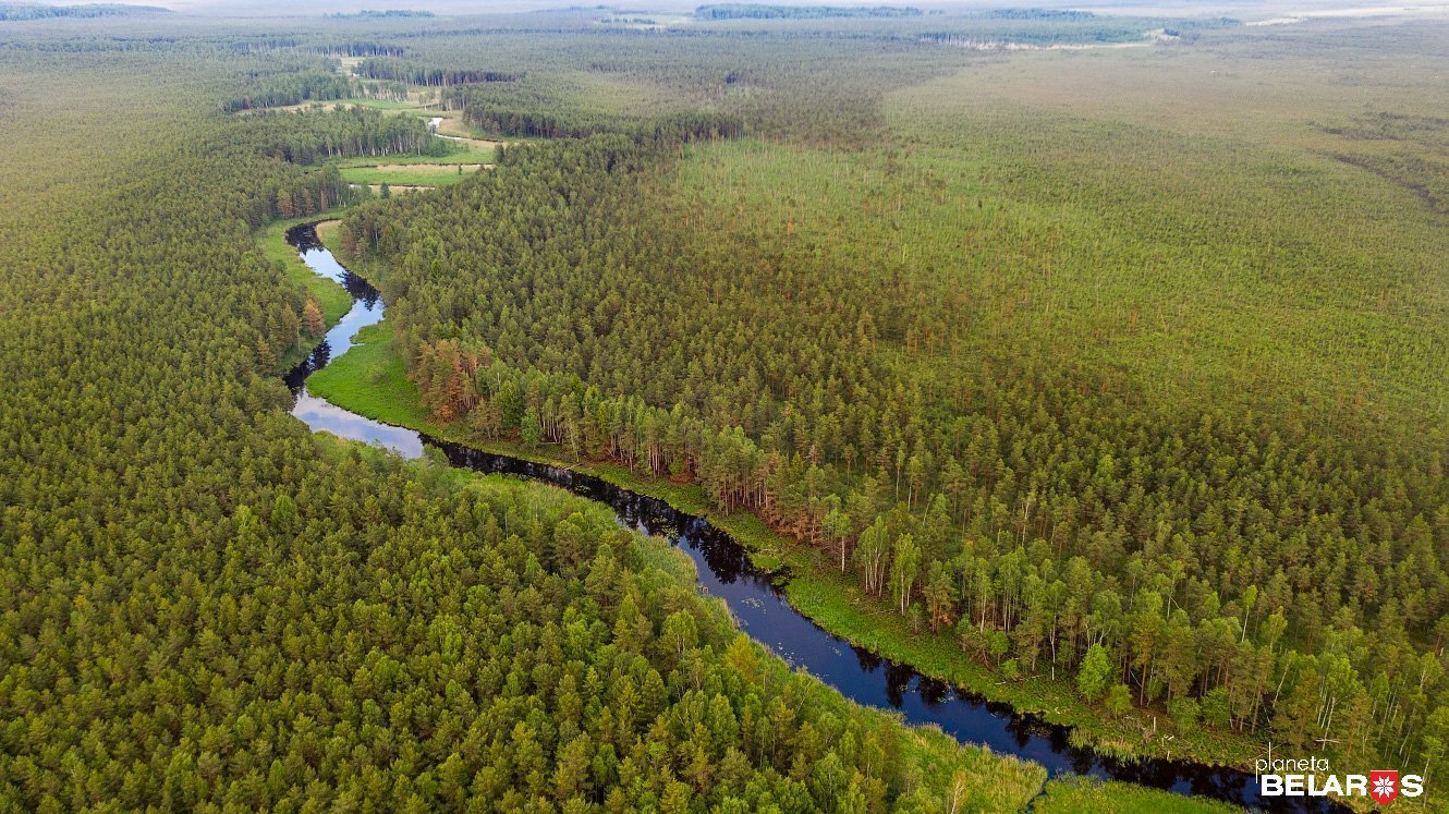 Болото Мох по Касиным тропам photo 2