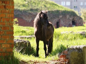 В лабиринтах времени photo 3