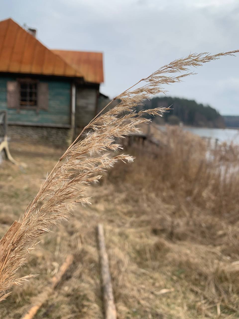 Беларусьфильм: кино снимается здесь! photo 0