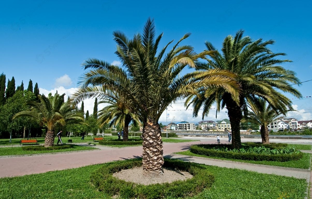 Увлекательный отдых на море в Сочи photo 1