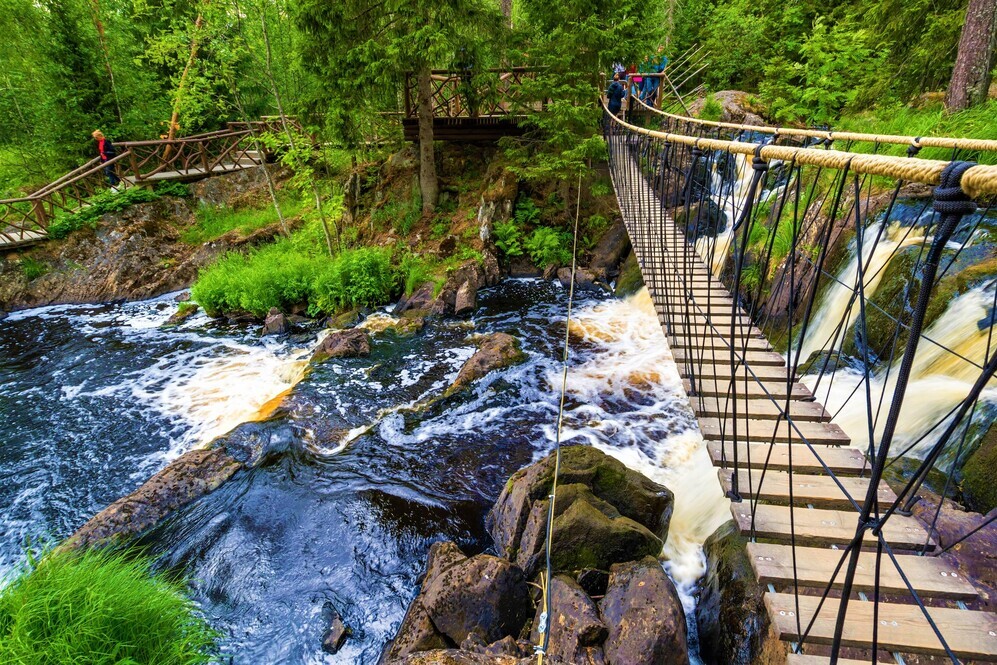 Увлекательный тур в Санкт-Петербург + Царское село photo 0