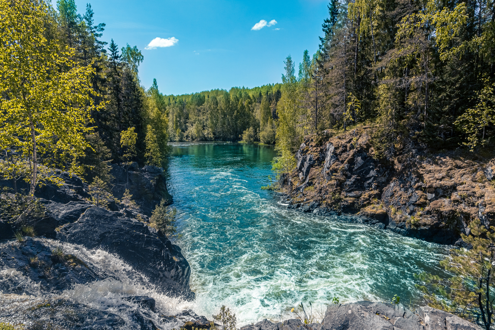Увлекательный тур в Санкт-Петербург + Царское село main photo