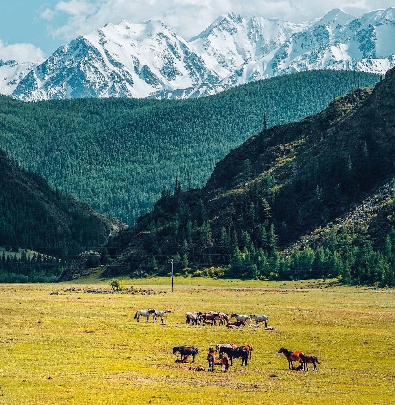 Увлекательное путешествие по Алтаю photo 0