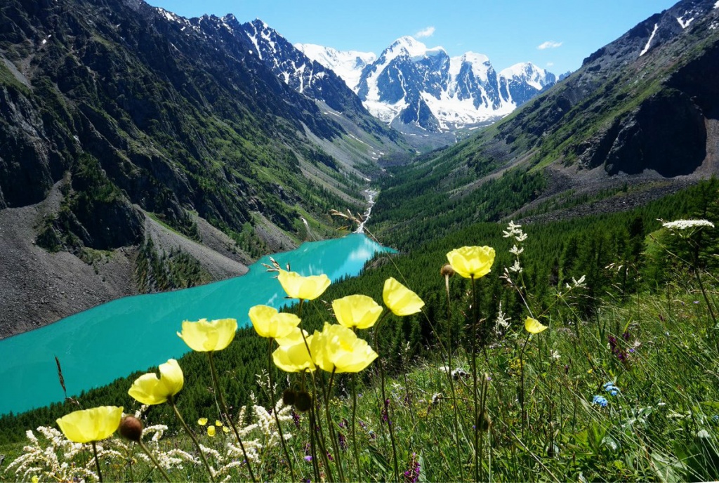 Увлекательное путешествие по Алтаю photo 1