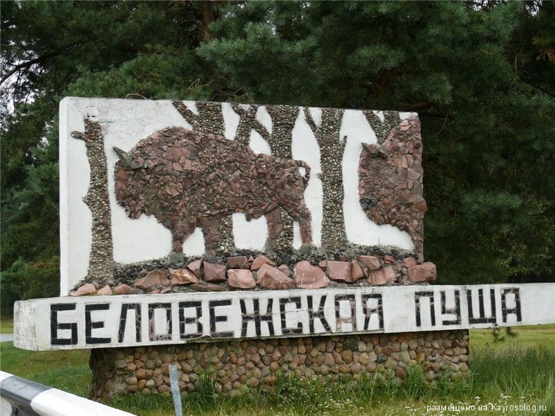 Брест (ночлег) — Каменец — Беловежская пуща — Музей народного быта 2 дня / 1 ночь (суббота — воскрес photo 3